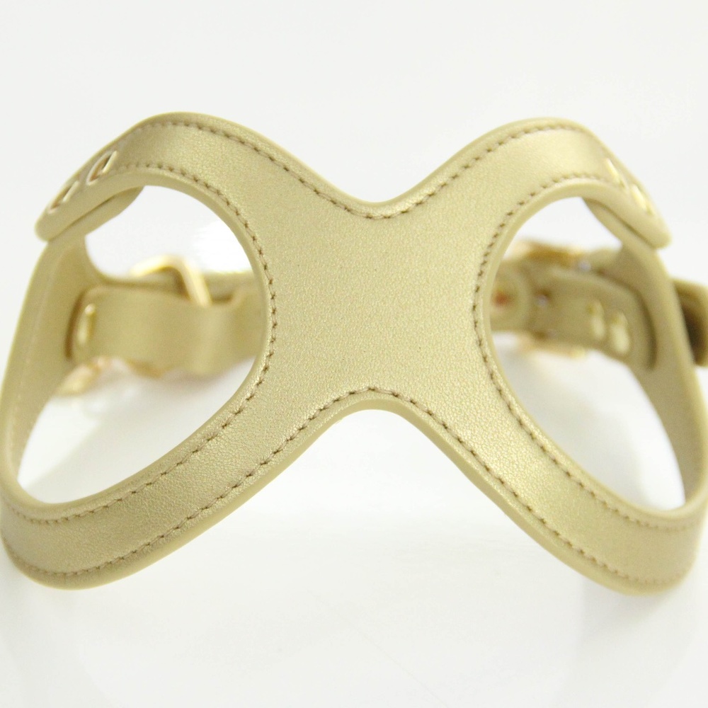 To Beg for Accessories and Treats Premium Vegan Dog Harness Size Small.